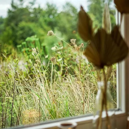 Karczma Viking 招待所 Stara Kiszewa