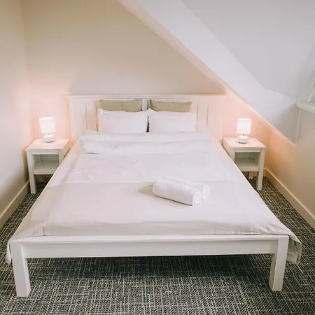 Karczma Viking 招待所 Stara Kiszewa