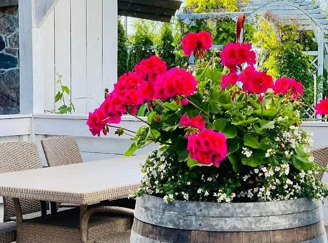 Pensionat Karczma Viking