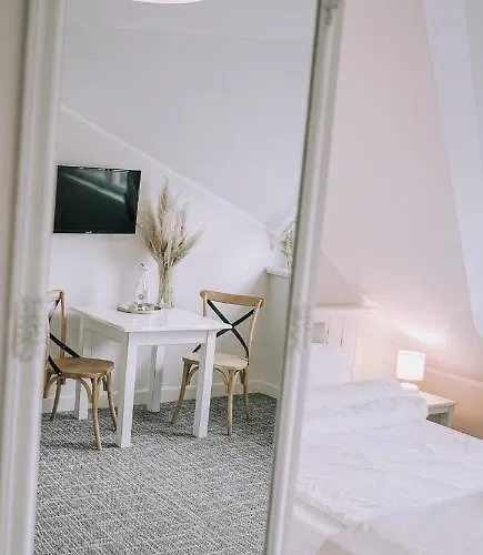 Pensionat Karczma Viking *