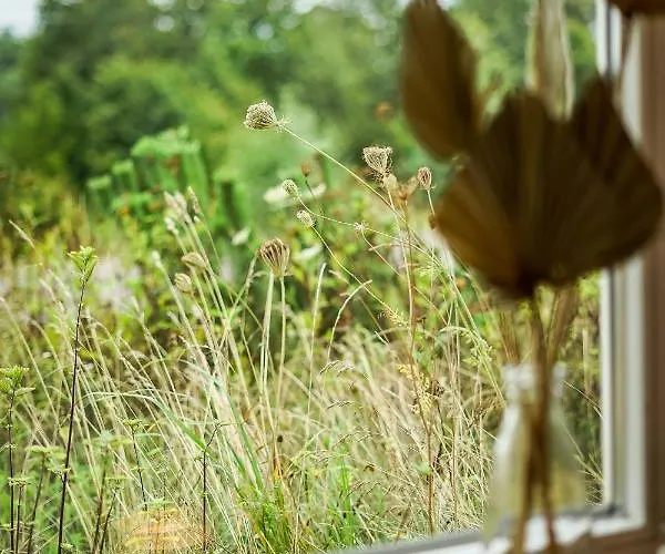 Karczma Viking Pensionat Stara Kiszewa
